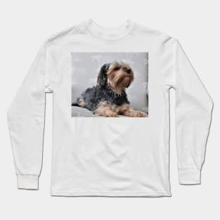 Cute Yorkie Yorkshire Terrier Sunbathing Long Sleeve T-Shirt